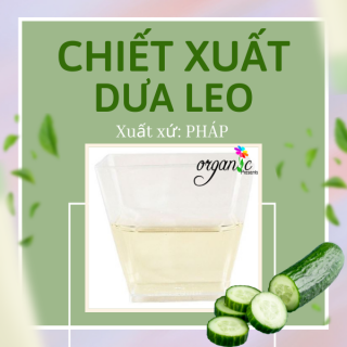 CUCUMBER FRUIT EXTRACT (CHIẾT XUẤT DƯA LEO)