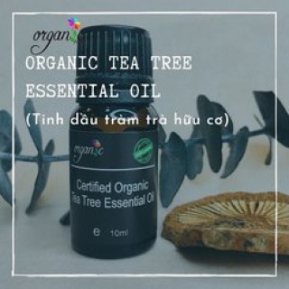 TINH DẦU TRÀM TRÀ HỮU CƠ (ORGANIC TEA TREE ESSENTIAL OIL)