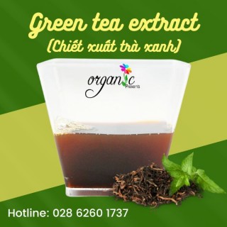 ORGANIC GREEN TEA EXTRACT (CHIẾT XUẤT TRÀ XANH - ORGANIC)
